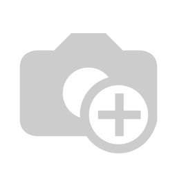 Video call with an Odoo consultant
